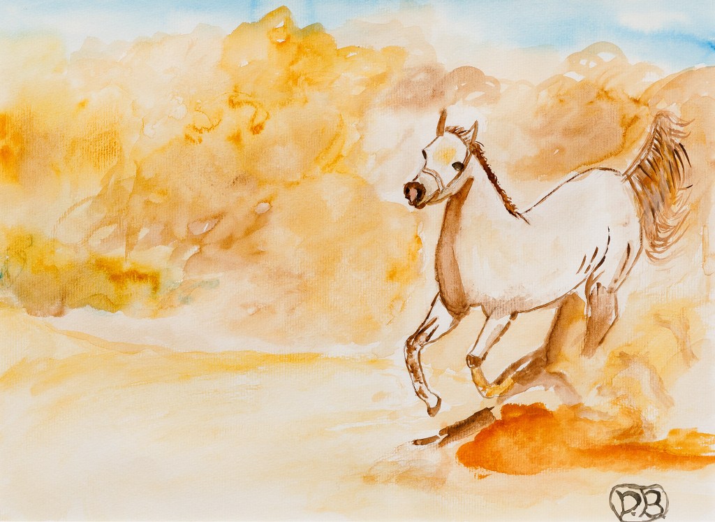 danielabussolino.com